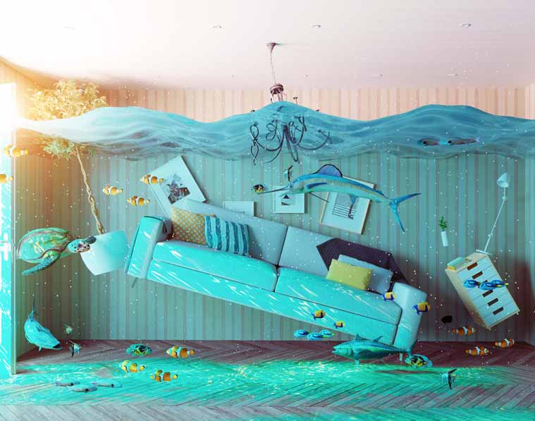 flood insurance